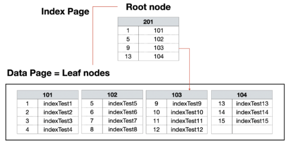 image info