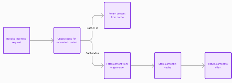 image info